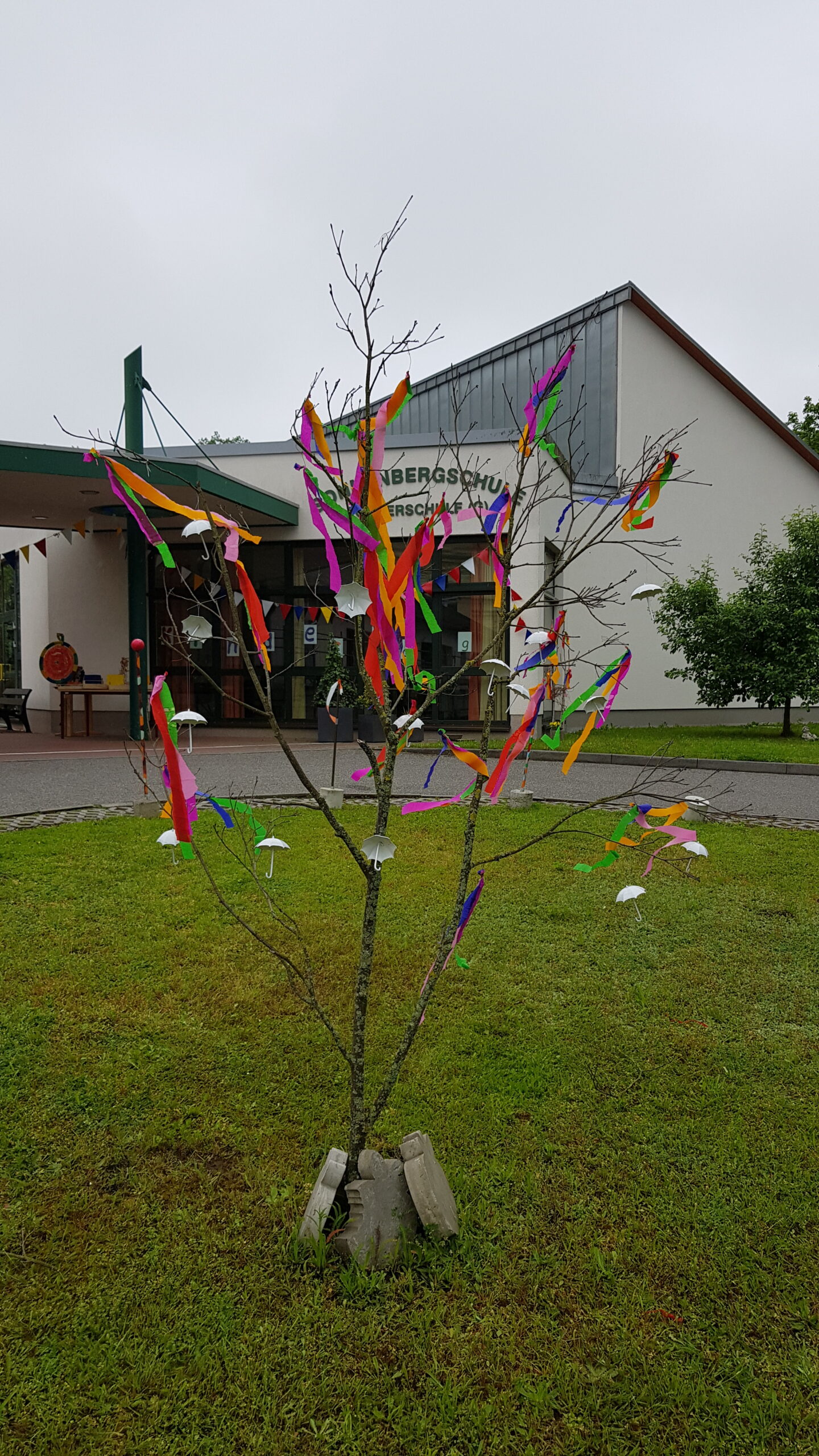Ein kleines Bäumchen vor dem Schuleingang, an welchem mit Kreppband, bunte Streifen befestigt wurden.